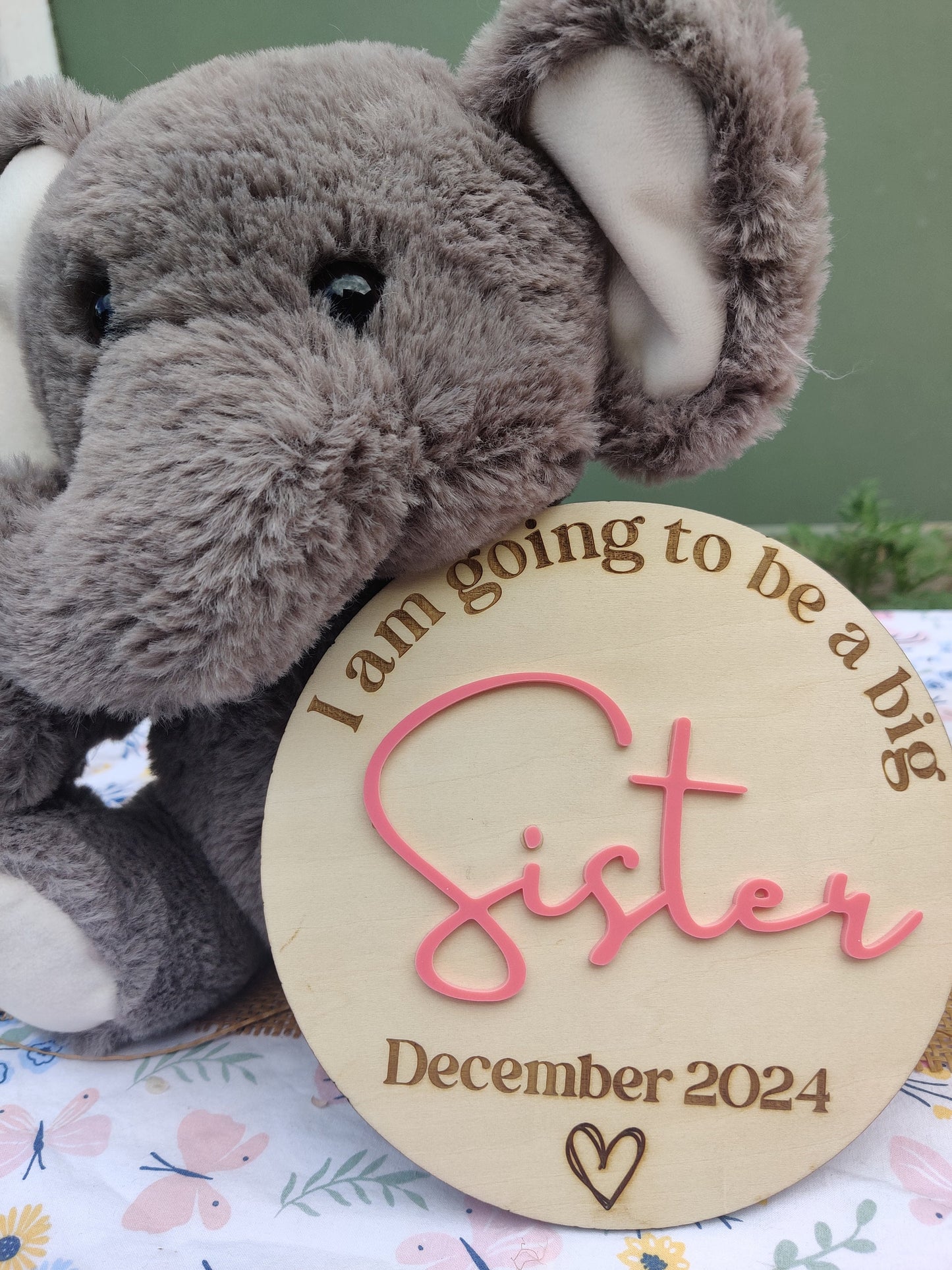 Pregnancy Announcement for siblings Plaque